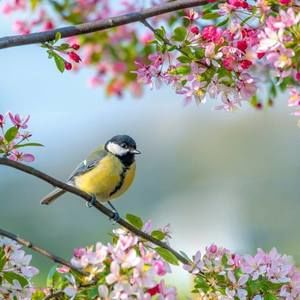 Meet your Posher, Jo ann